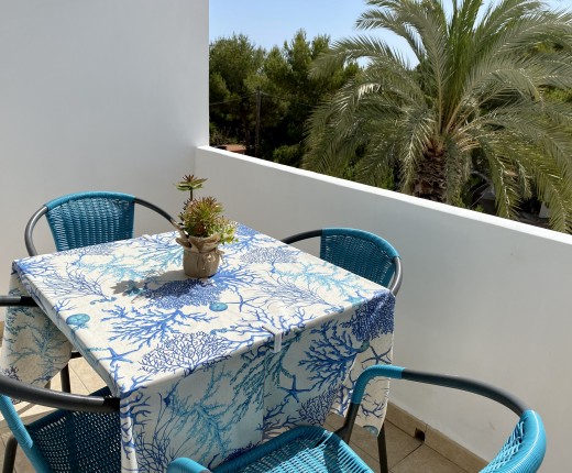 Formentera Pura